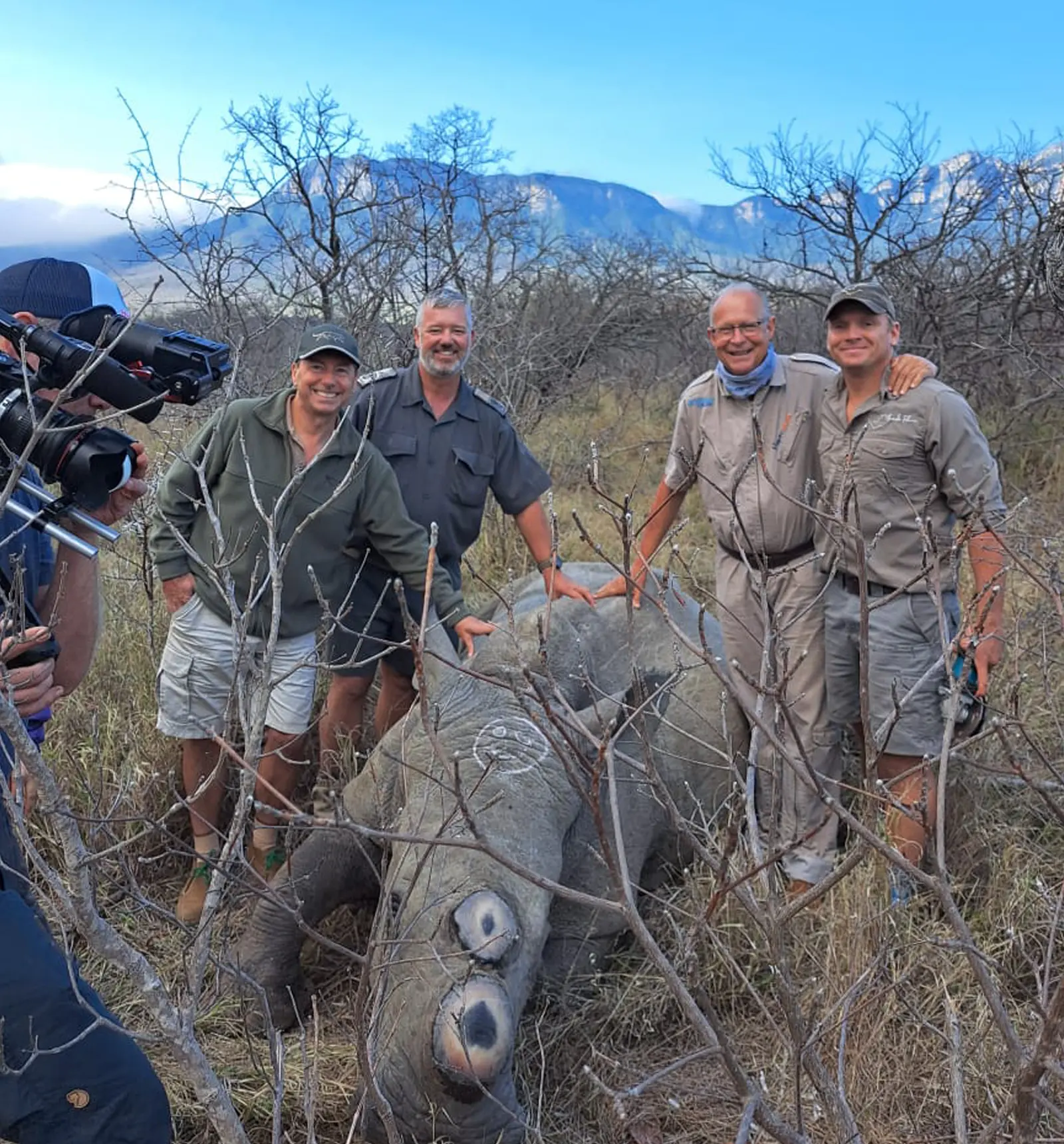Dehorning Rhino