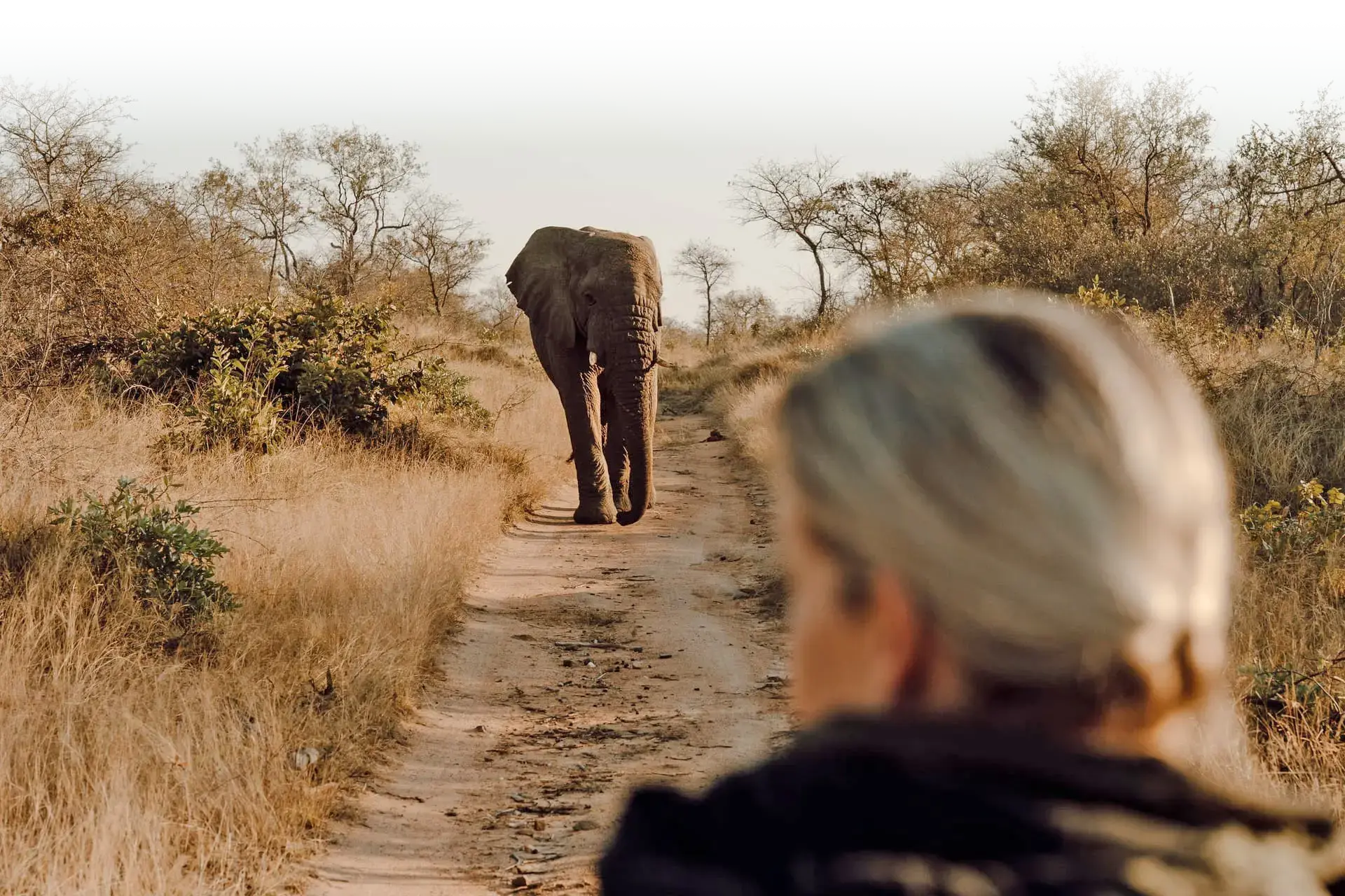 Wildlife Conservation Foundation South Africa